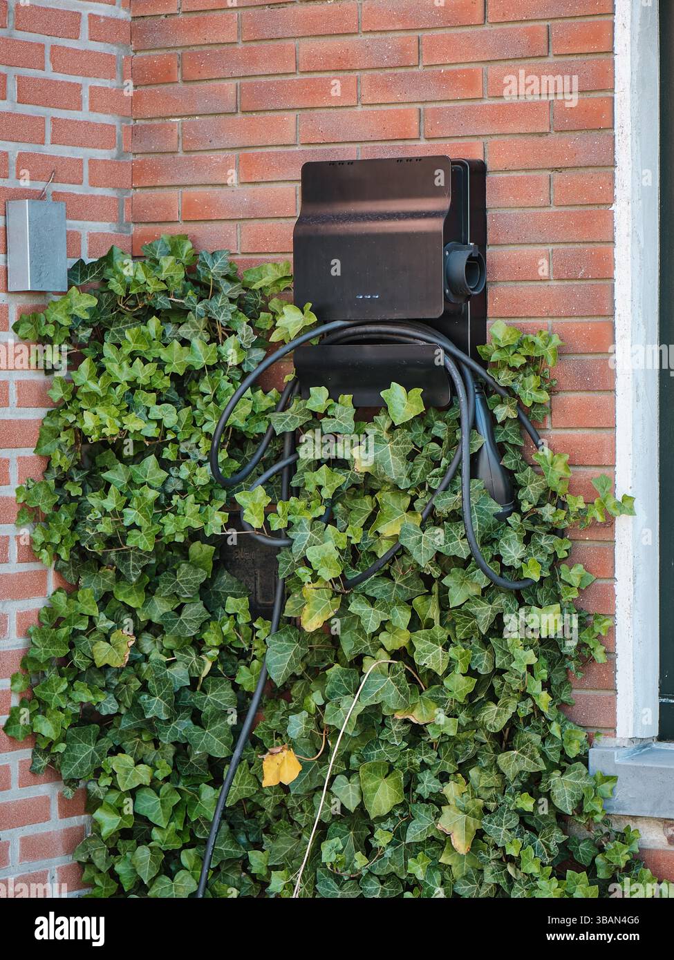 Pays-Bas : borne de recharge pour véhicules électriques montée sur un mur de garage en briques vintage, avec câble bleu, montrant l'infrastructure locale des véhicules électriques dans un histo néerlandais Banque D'Images