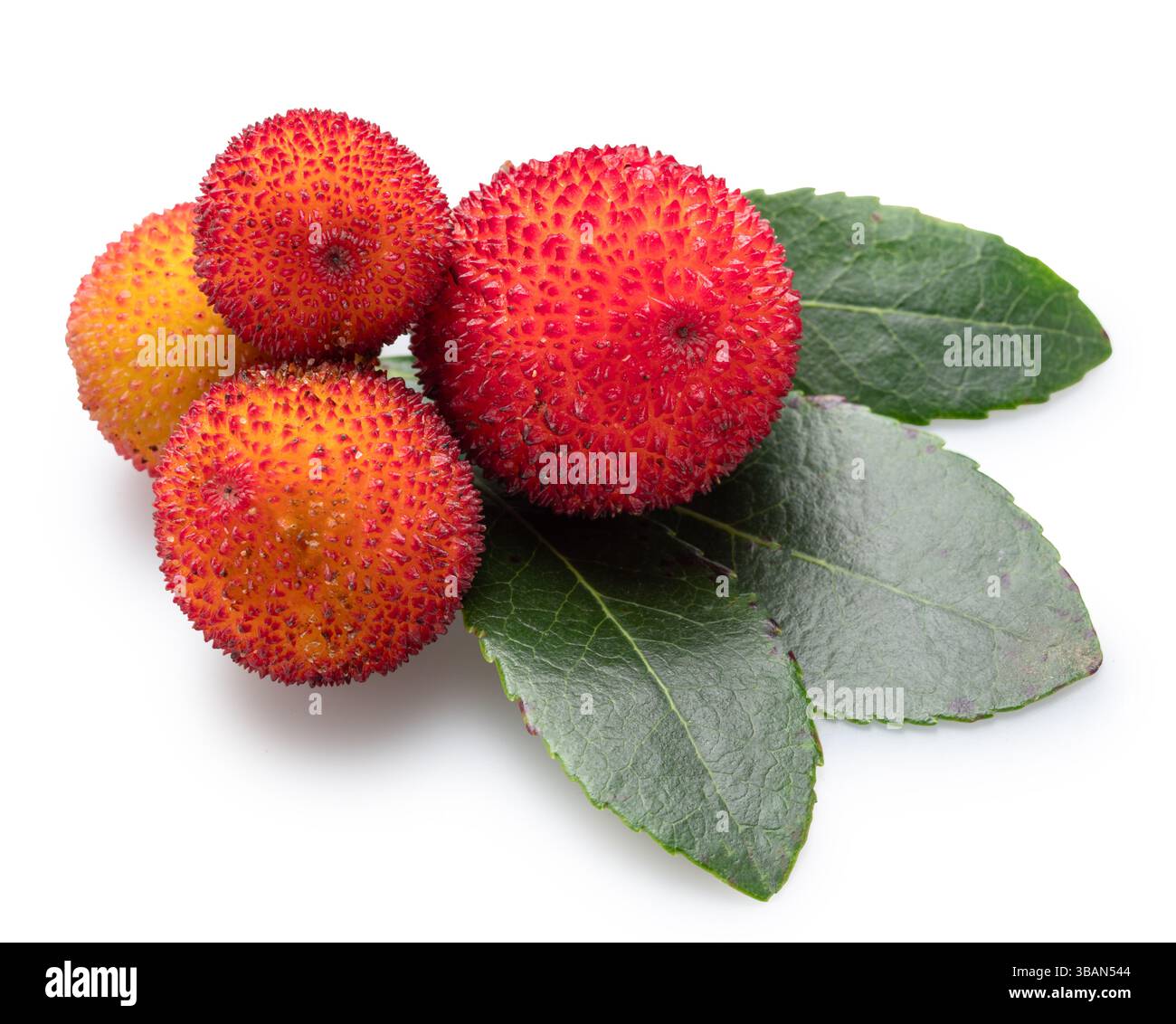Fruits mûrs et feuilles vertes fraîches du fraisier, isolé sur fond blanc. Le fichier contient un chemin de détourage. Banque D'Images