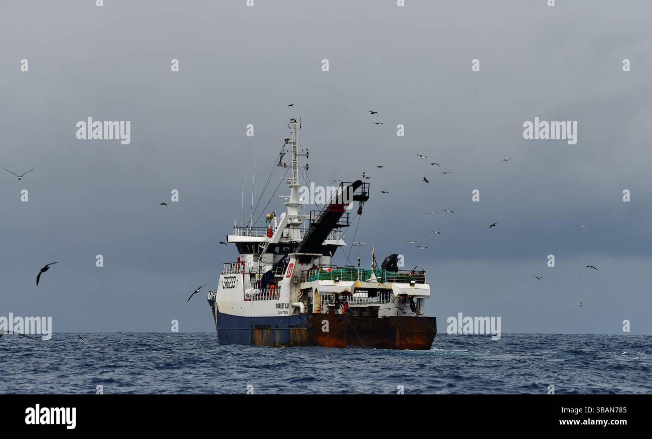 Chalutier de pêche commerciale. Pêche en haute mer sur les rives du Cap, Afrique du Sud Banque D'Images