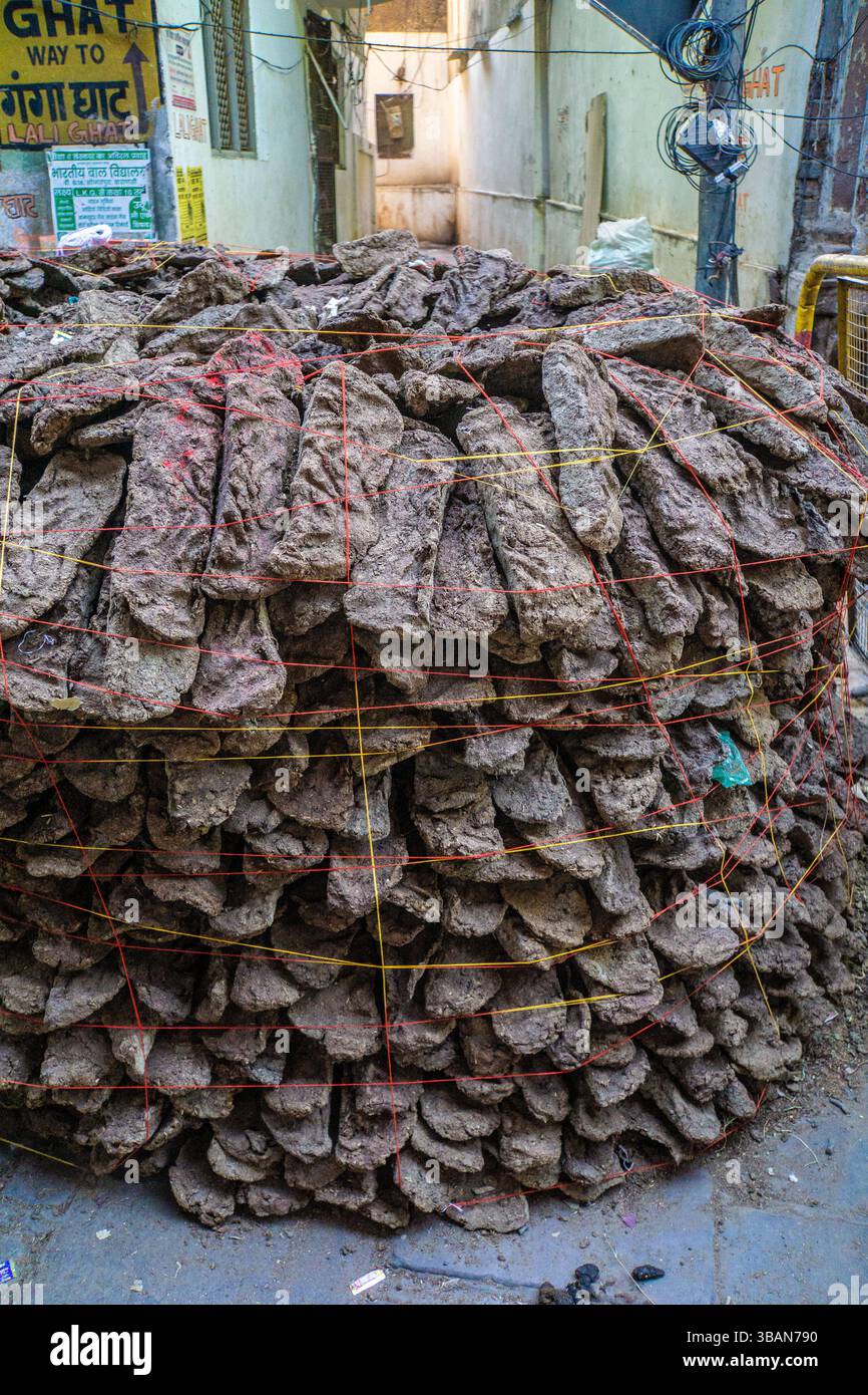 Pile de bouse de vache attendant d'être brûlée dans le feu de joie dans le cadre du festival hindou de Holi, à Varanasy, en Inde Banque D'Images