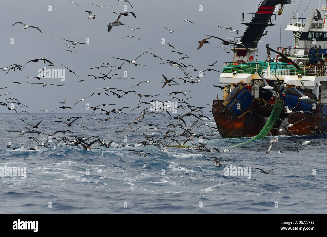 Chalutier de pêche commerciale tirant dans un filet complet. Pêche en haute mer sur les rives du Cap, Afrique du Sud Banque D'Images
