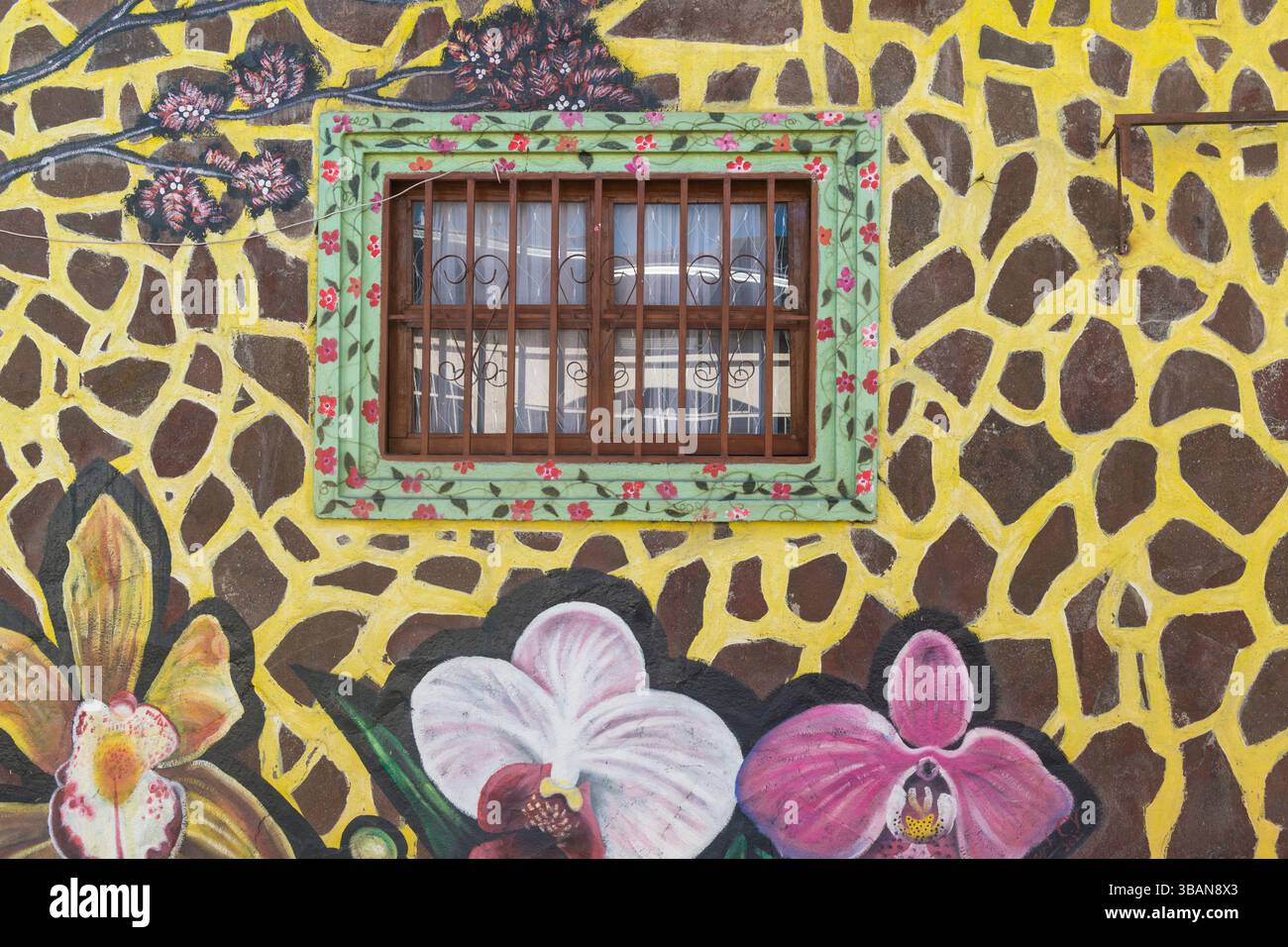 Fenêtre fermée dans un mur coloré fleuri à San Marcos de Colon, département de Chaluteca, Honduras. Banque D'Images