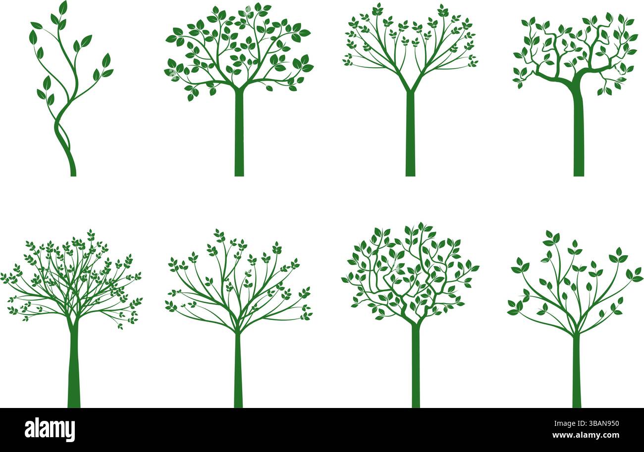Placez greenTrees sur fond blanc Illustration de Vecteur