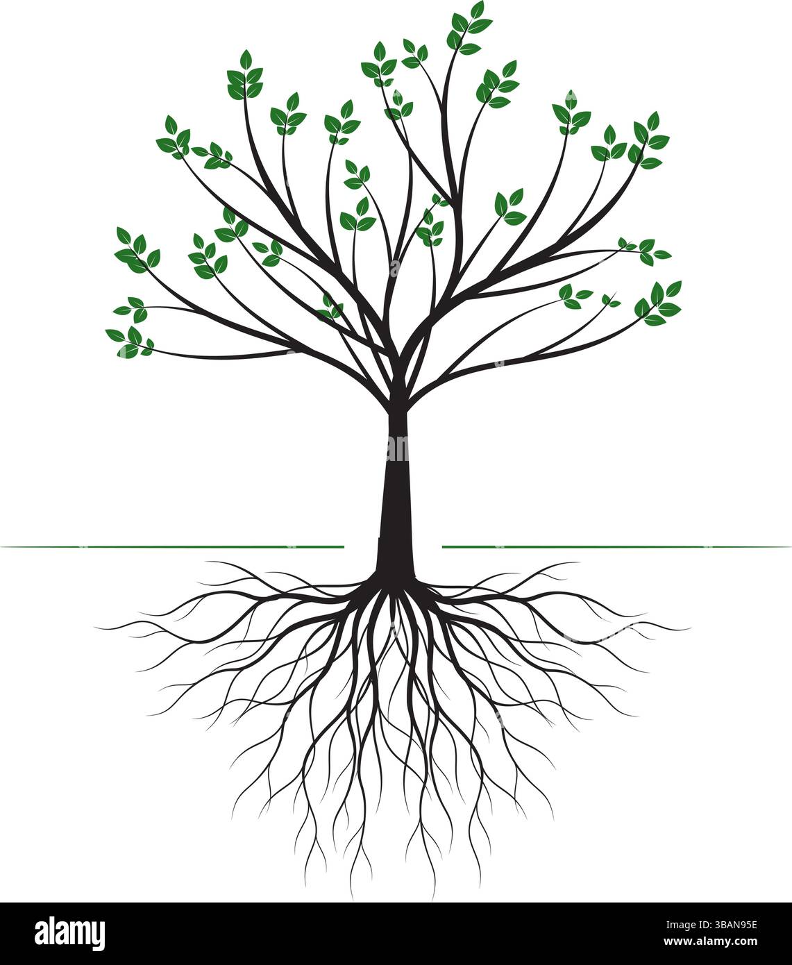 Arbre vecteur vert avec racines isolées. Illustration de contour. Illustration de Vecteur