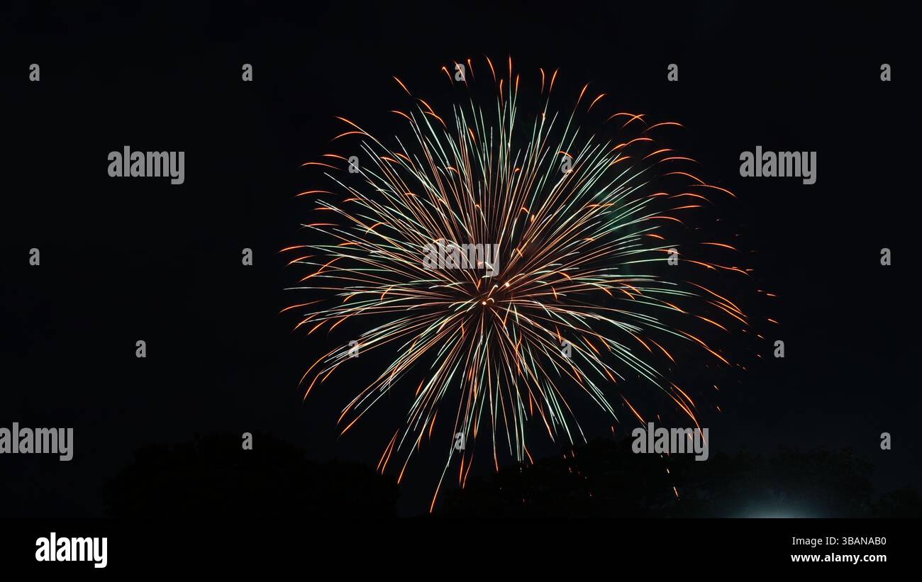 Beauté explosive : feux d'artifice illuminant la nuit Banque D'Images