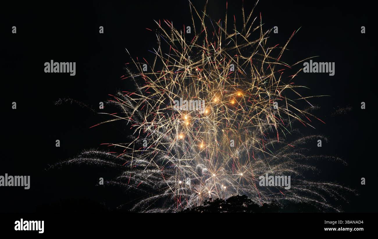 Beauté explosive : feux d'artifice illuminant la nuit Banque D'Images