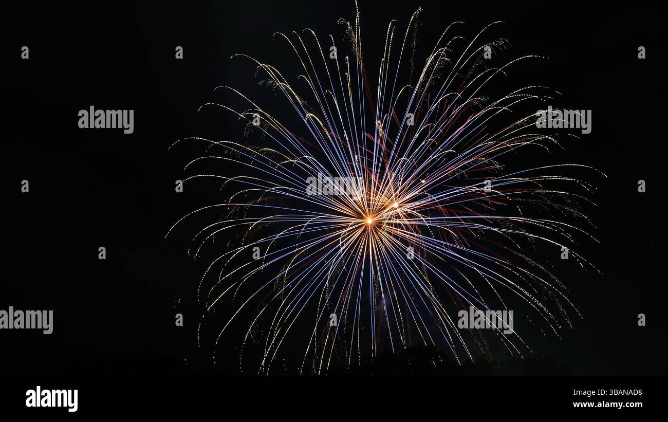 Beauté explosive : feux d'artifice illuminant la nuit Banque D'Images