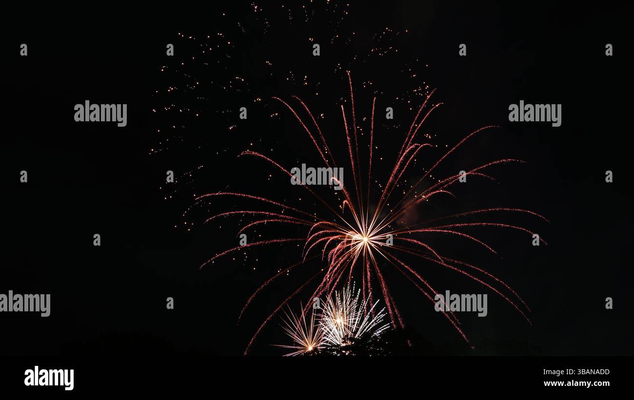 Beauté explosive : feux d'artifice illuminant la nuit Banque D'Images