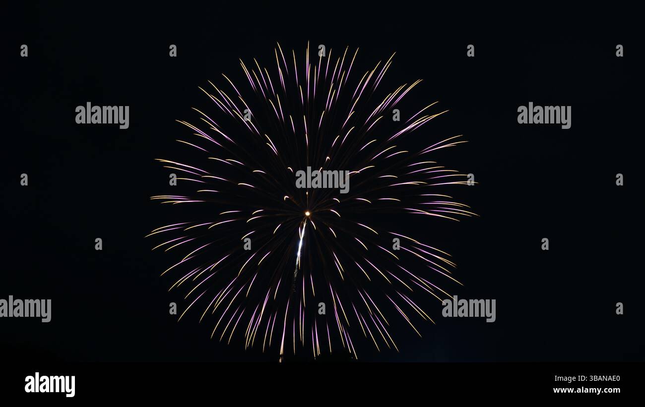 Beauté explosive : feux d'artifice illuminant la nuit Banque D'Images