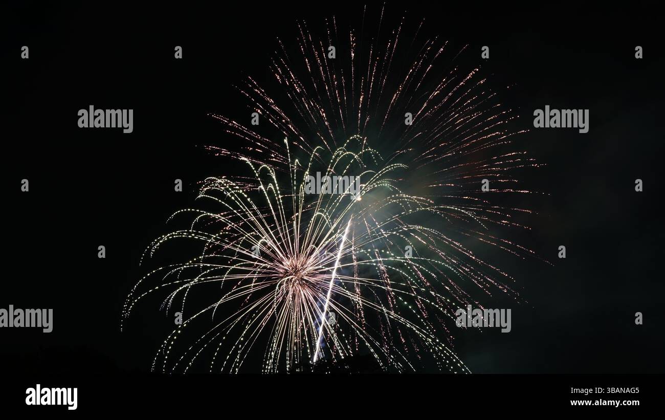 Beauté explosive : feux d'artifice illuminant la nuit Banque D'Images