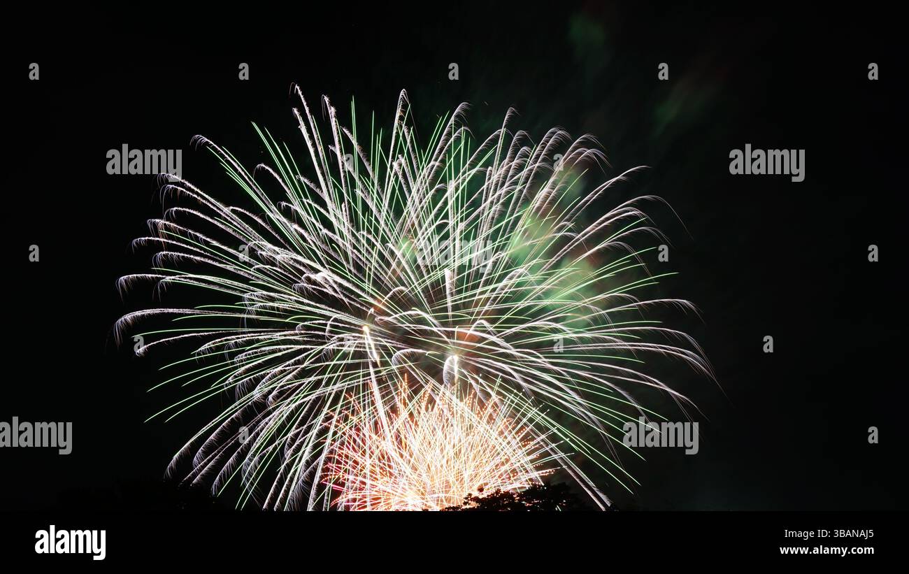 Beauté explosive : feux d'artifice illuminant la nuit Banque D'Images