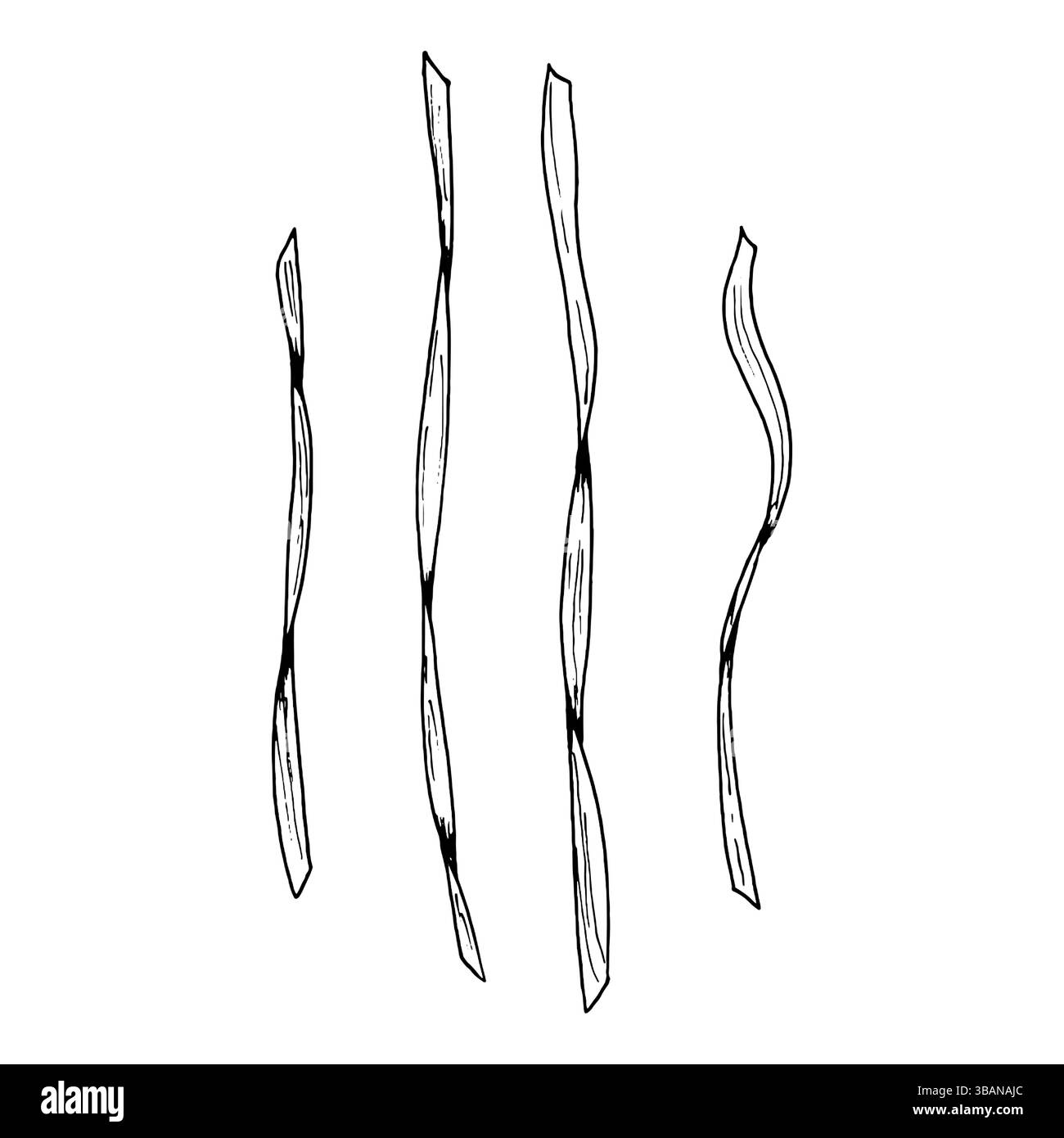 Ensemble de rubans vectoriels dessinés à la main en noir et blanc. Éléments décoratifs courbés et torsadés pour l'artisanat, l'emballage, les designs de célébration, les projets de bricolage Illustration de Vecteur