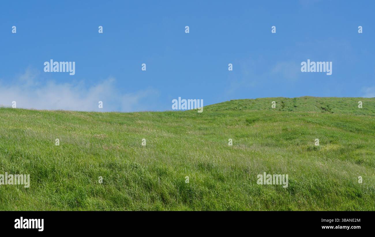 Beauté tranquille du lac Yamanaka - Une évasion sereine Banque D'Images