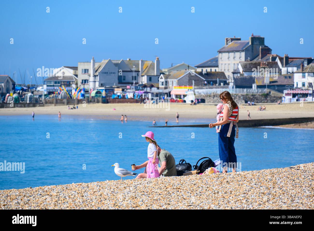 Lyme Regis, Dorset, Royaume-Uni. 13 mai 2025. Météo britannique. Les gens étaient dehors et à peu près tôt pour profiter du soleil chaud grésillant et du ciel bleu à la station balnéaire de Lyme comme le temps glorieux revient après un début de semaine humide et tonnerre. La haute pression devrait dominer bien au cours de la semaine prochaine, apportant beaucoup de temps chaud et ensoleillé. Crédit : Celia McMahon/Alamy Live News Banque D'Images