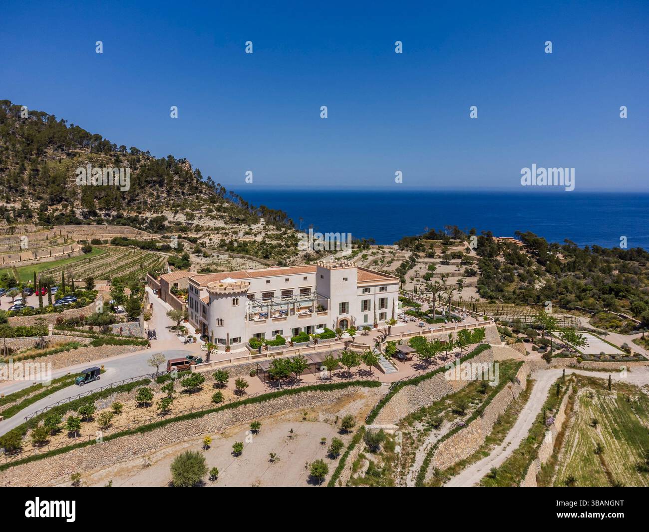 Son Bunyola Villas Hôtel, parmi les terrasses d'oliviers, Banyalbufar, zone naturelle de la Serra de Tramuntana., Majorque, Îles Baléares, Espagne Banque D'Images