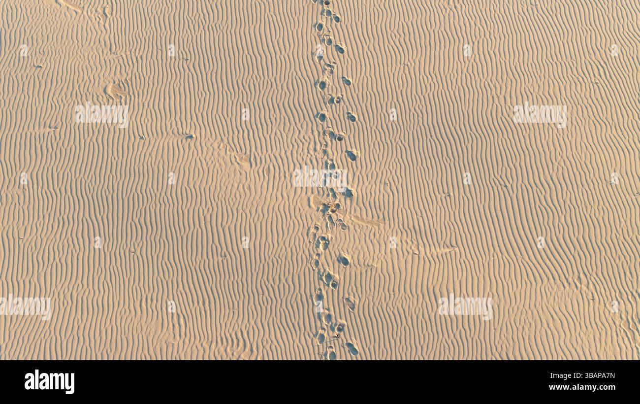 Empreintes de pas sur le sable, concept de destination voyage, survie d'endurance de marche Banque D'Images