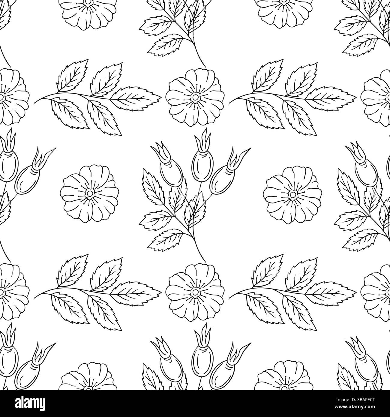 Rosehip. Motif floral monochrome. Modèle pour textile ou cuisine dans le style dessiné à la main. Imprimer pour design, textile, tissu Illustration de Vecteur