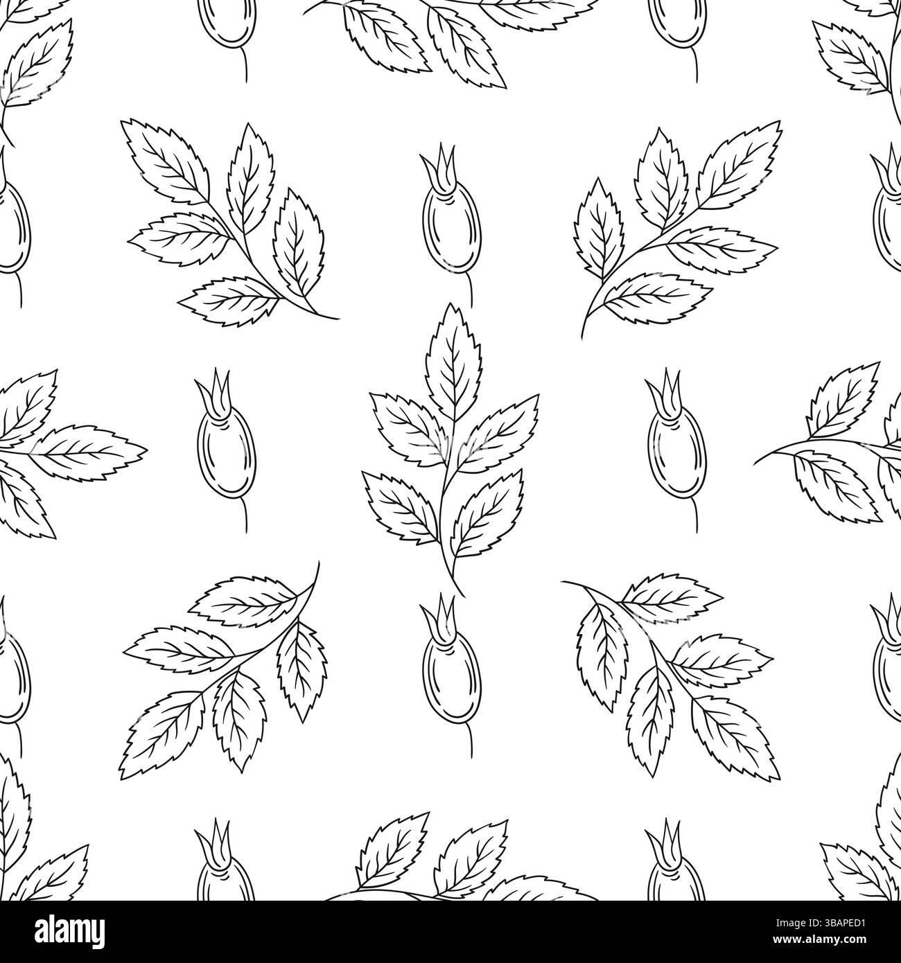 Rosehip. Motif floral monochrome. Modèle pour textile ou cuisine dans le style dessiné à la main. Imprimez pour la conception Illustration de Vecteur