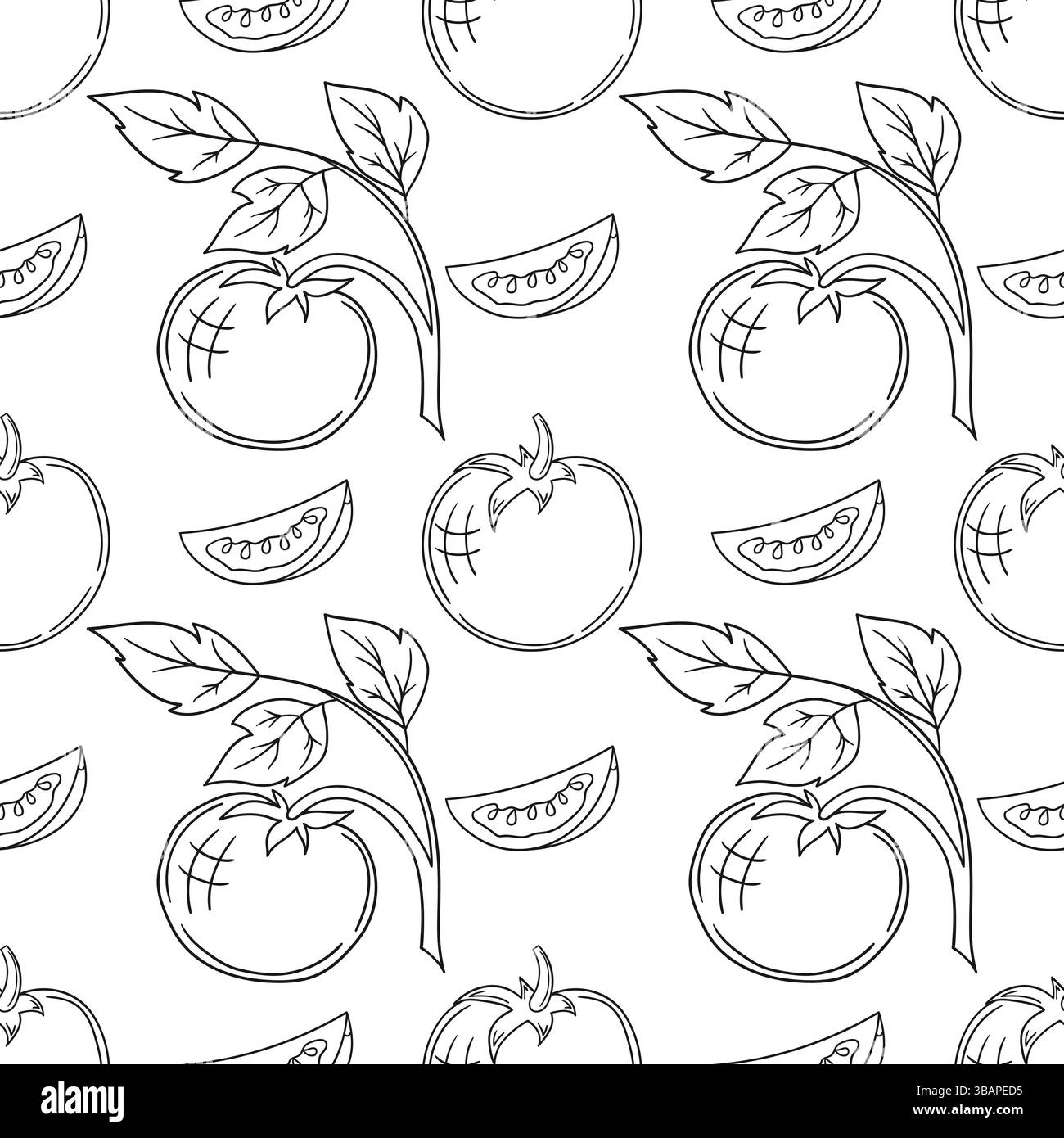 Tomate. Modèle pour textile ou cuisine dans le style dessiné à la main. Motif végétal monochrome. Imprimer pour la conception, textile, tissu, papier peint, papier d'emballage Illustration de Vecteur