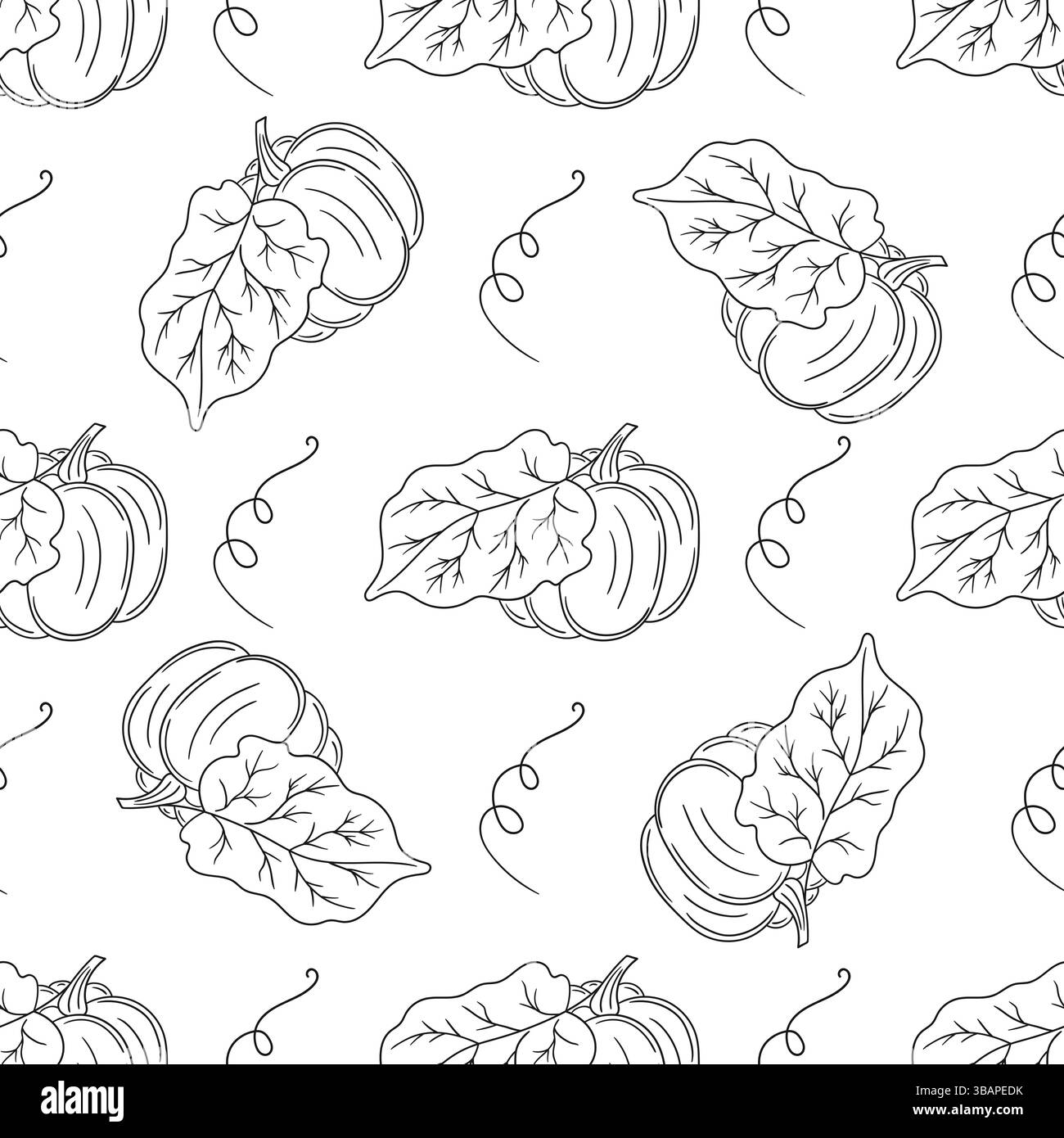 Citrouille. Modèle pour textile ou cuisine. Motif végétal monochrome dans le style de dessin à la main. Imprimer pour design, textile, tissu Illustration de Vecteur