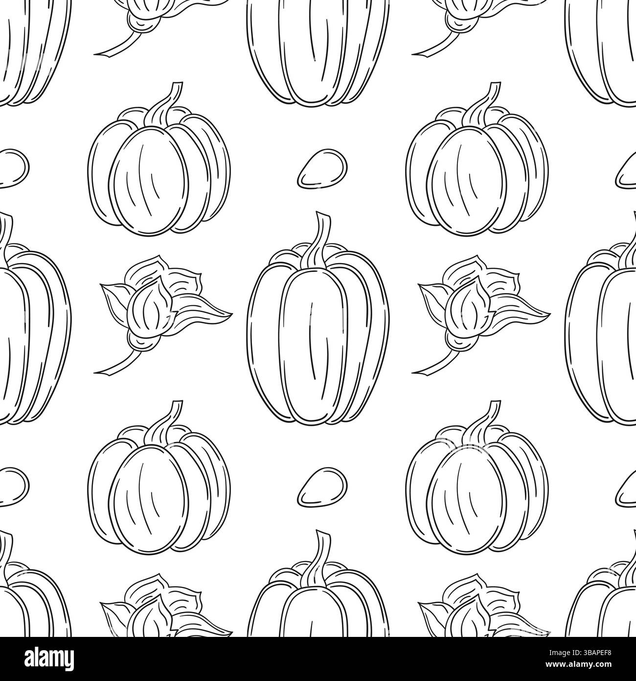 Citrouille. Modèle pour textile ou cuisine dans le style dessiné à la main. Motif végétal monochrome. Imprimer pour la conception, textile, tissu, papier peint, emballage Illustration de Vecteur