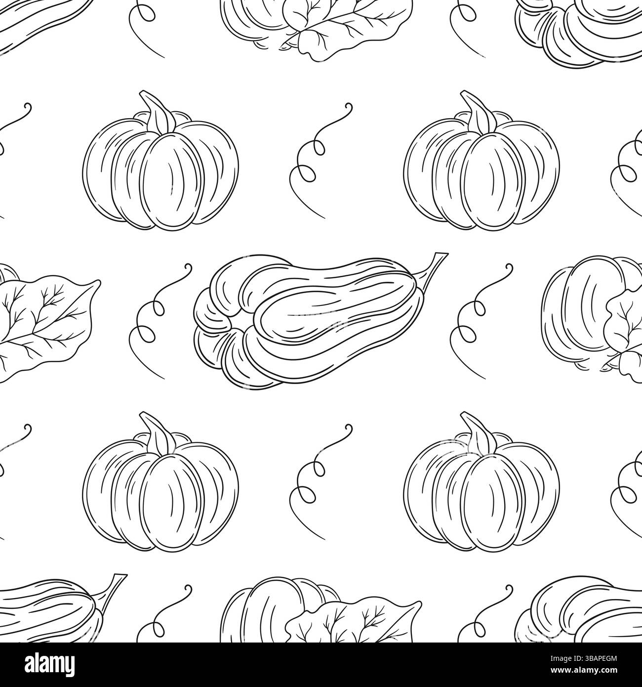 Citrouille. Modèle pour textile ou cuisine. Motif végétal monochrome dans le style de dessin à la main. Imprimer pour la conception, textile, tissu, papier peint, papier d'emballage Illustration de Vecteur