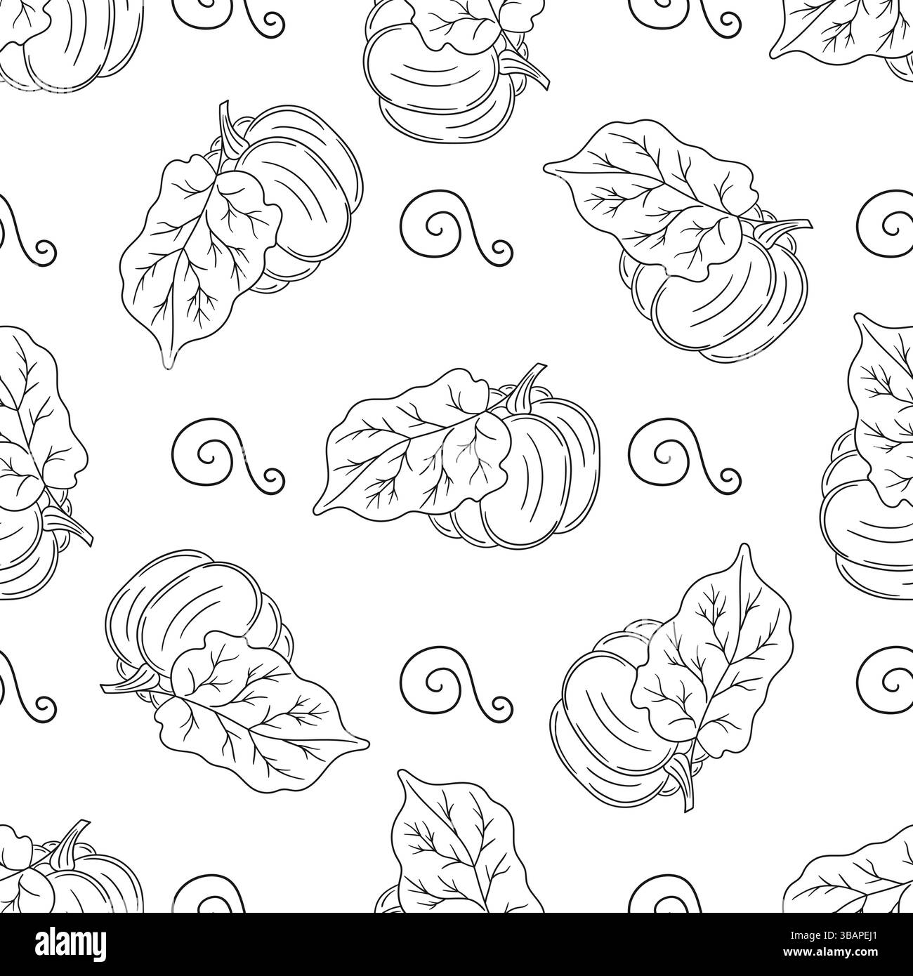 Citrouille. Modèle pour textile ou cuisine. Motif végétal monochrome dans le style de dessin à la main. Imprimer pour le design, textile Illustration de Vecteur