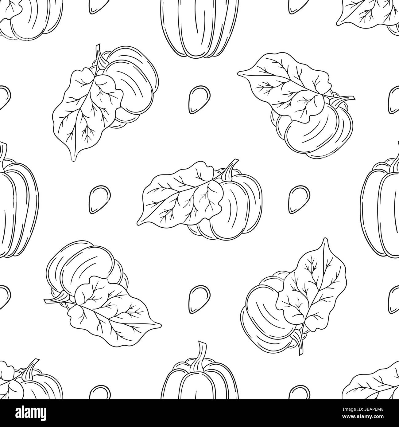 Citrouille. Modèle pour textile ou cuisine. Motif végétal monochrome dans le style de dessin à la main. Imprimez pour la conception Illustration de Vecteur