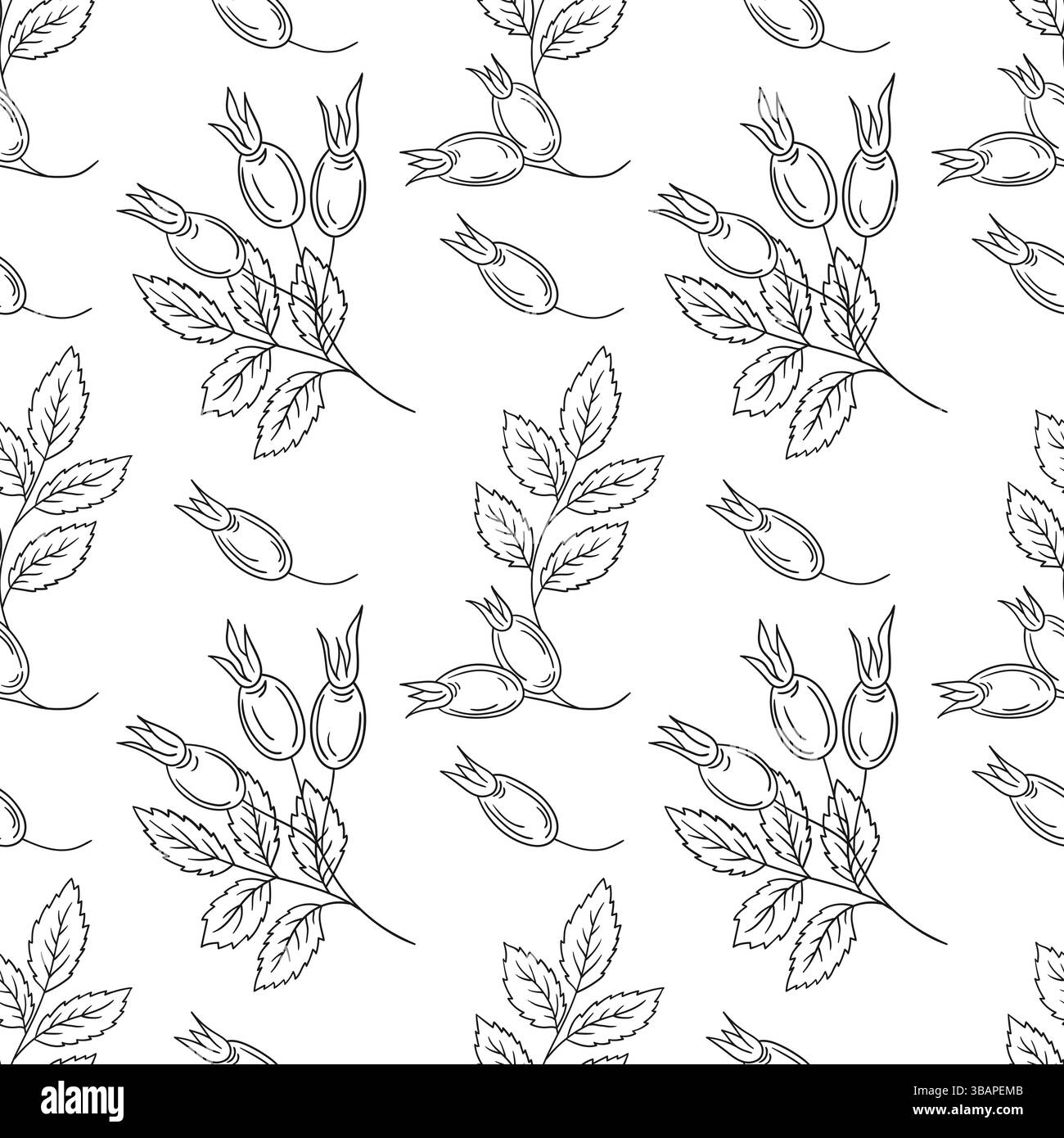 Rosehip. Motif floral monochrome dans le style de dessin à la main. Modèle pour textile ou cuisine. Imprimer Illustration de Vecteur