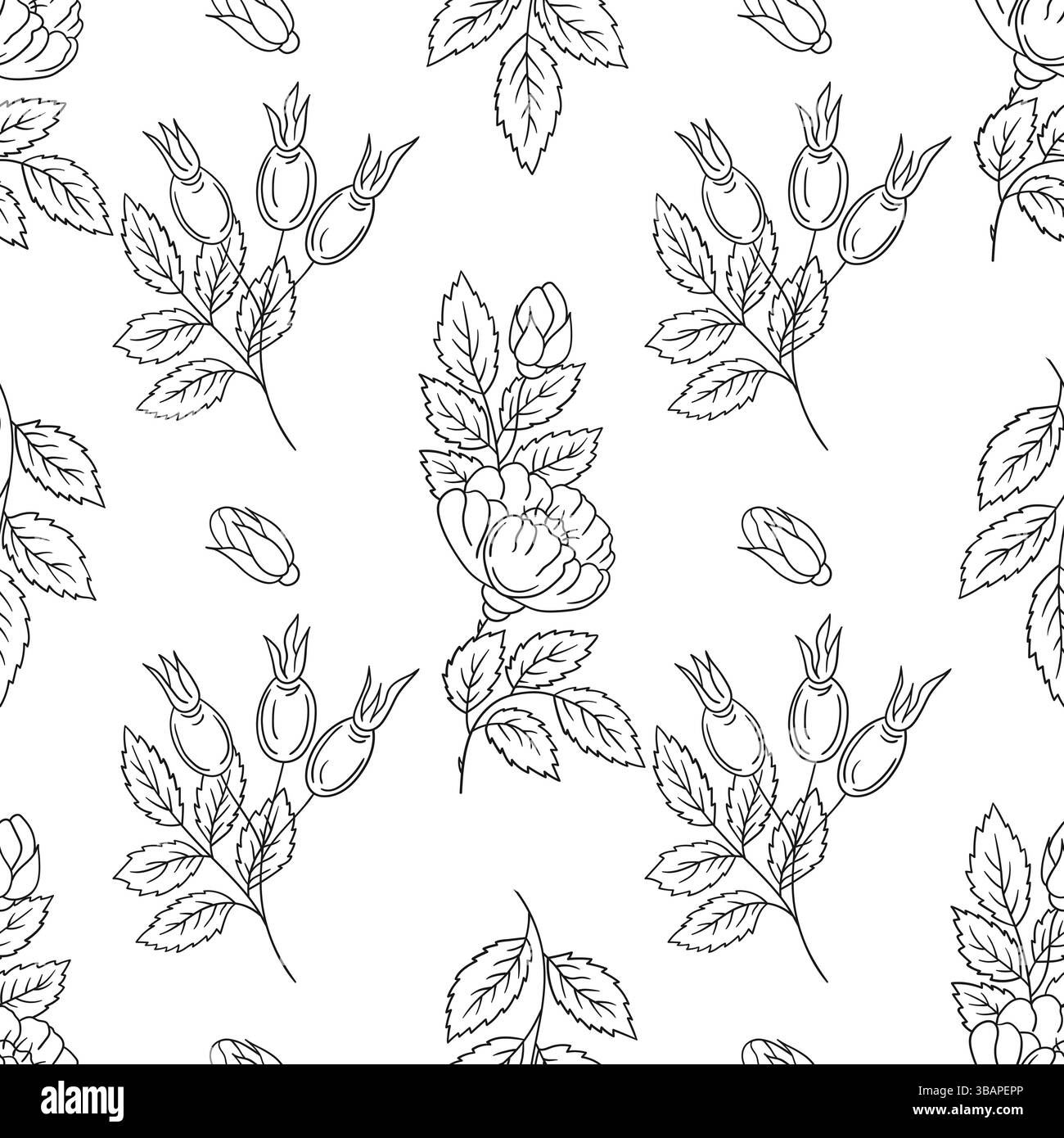 Rosehip. Motif floral monochrome. Modèle pour textile ou cuisine dans le style dessiné à la main. Imprimer pour la conception, textile, tissu, papier peint, papier d'emballage, d Illustration de Vecteur