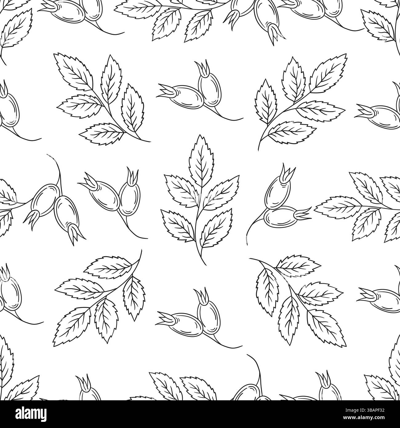 Rosehip. Motif floral monochrome. Modèle pour textile dans le style dessin à la main Illustration de Vecteur