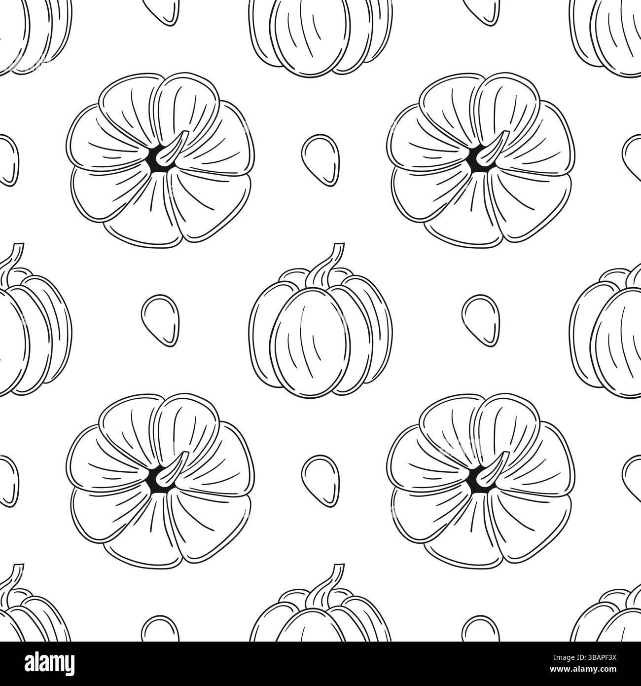 Citrouille. Modèle pour textile ou cuisine dans le style dessiné à la main. Motif végétal monochrome. Imprimer pour la conception, textile, tissu, papier peint, papier d'emballage Illustration de Vecteur
