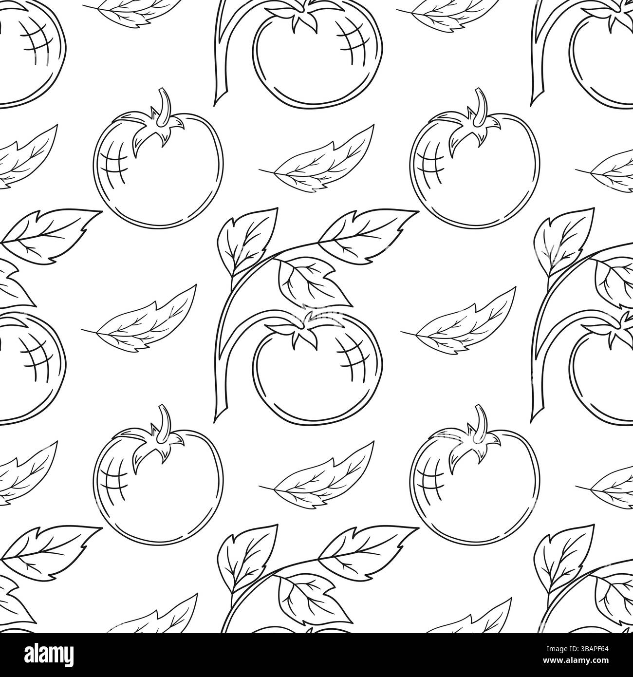 Tomate. Modèle pour textile ou cuisine dans le style dessiné à la main. Motif végétal monochrome. Imprimer pour la conception, textile, tissu, papier peint, emballage Illustration de Vecteur