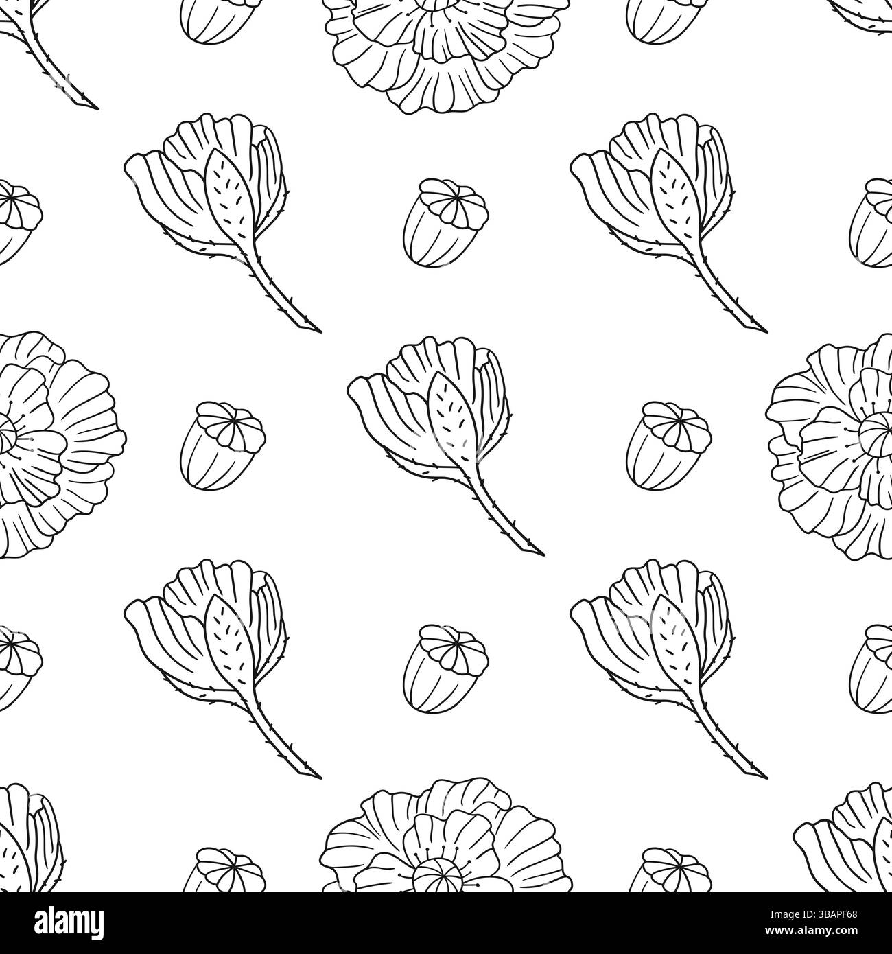 Poppy. Motif floral monochrome. Modèle pour textile ou cuisine dans le style dessiné à la main. Imprimer pour le design, textile Illustration de Vecteur
