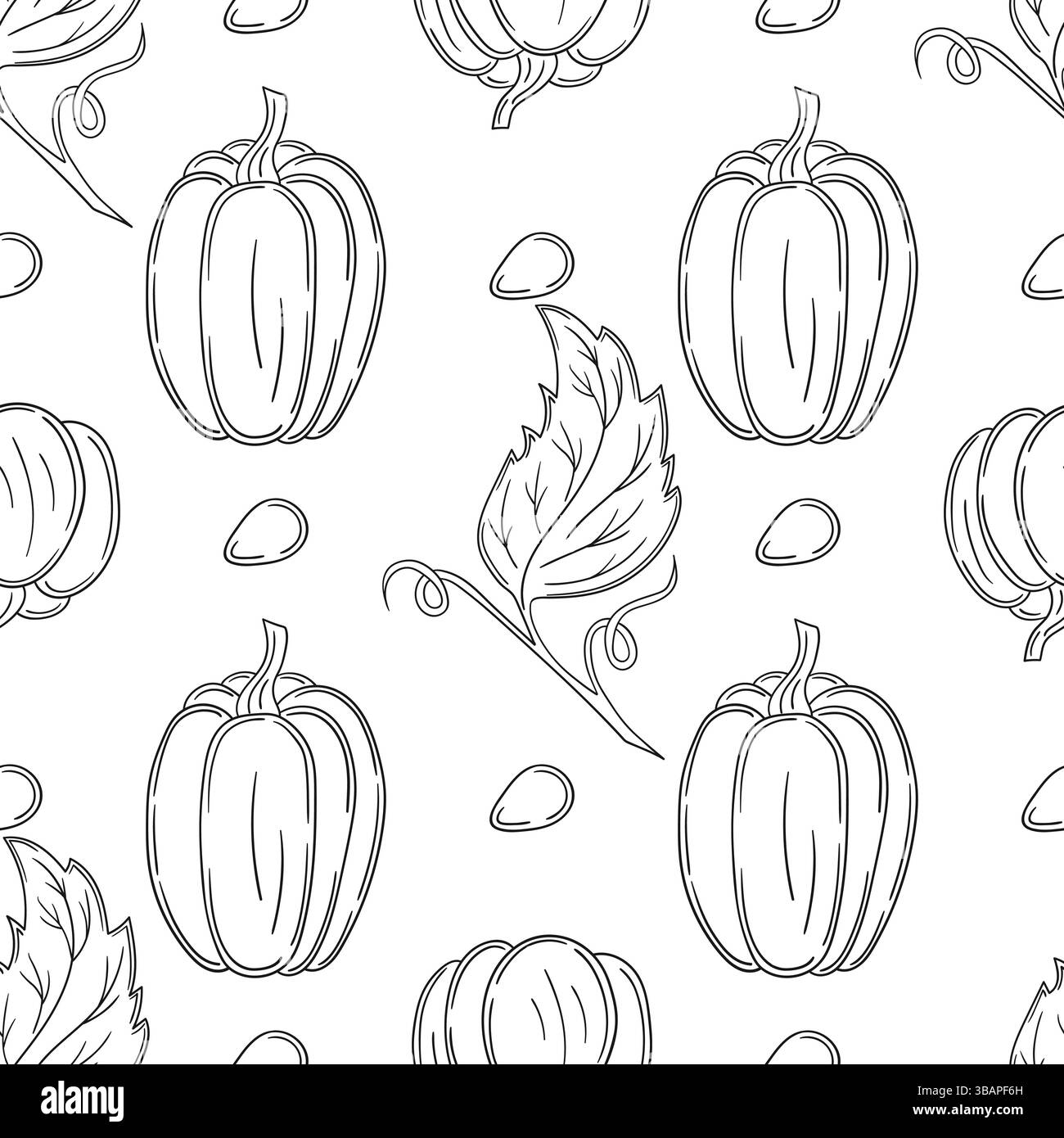Citrouille. Modèle pour textile ou cuisine dans le style dessiné à la main. Motif végétal monochrome Illustration de Vecteur