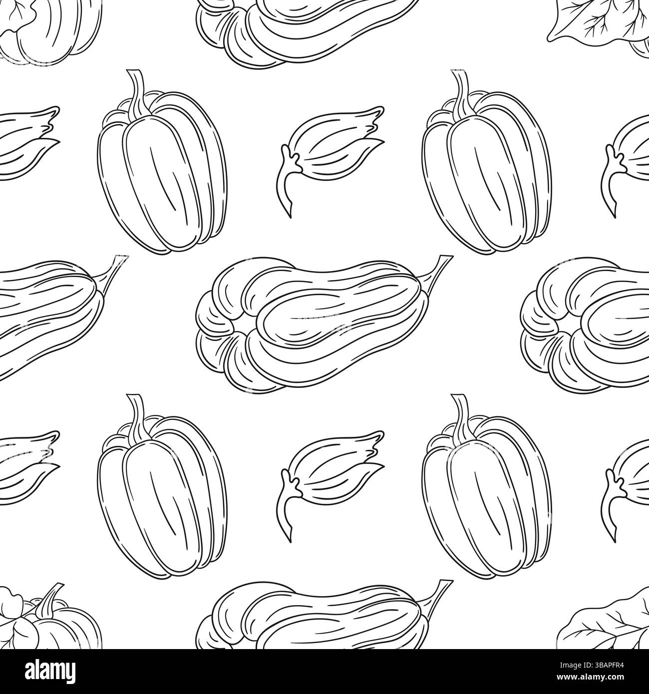 Citrouille. Modèle pour textile ou cuisine. Motif végétal monochrome dans le style de dessin à la main. Imprimer pour la conception, textile, tissu, papier peint, papier d'emballage Illustration de Vecteur