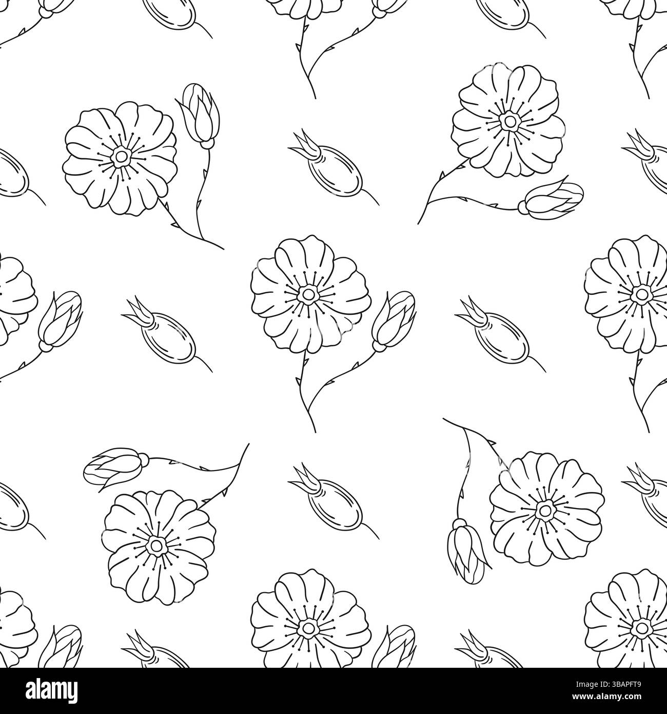 Motif floral monochrome. Modèle pour textile ou cuisine dans le style dessiné à la main. Rosehip. Imprimer pour le design, textile Illustration de Vecteur