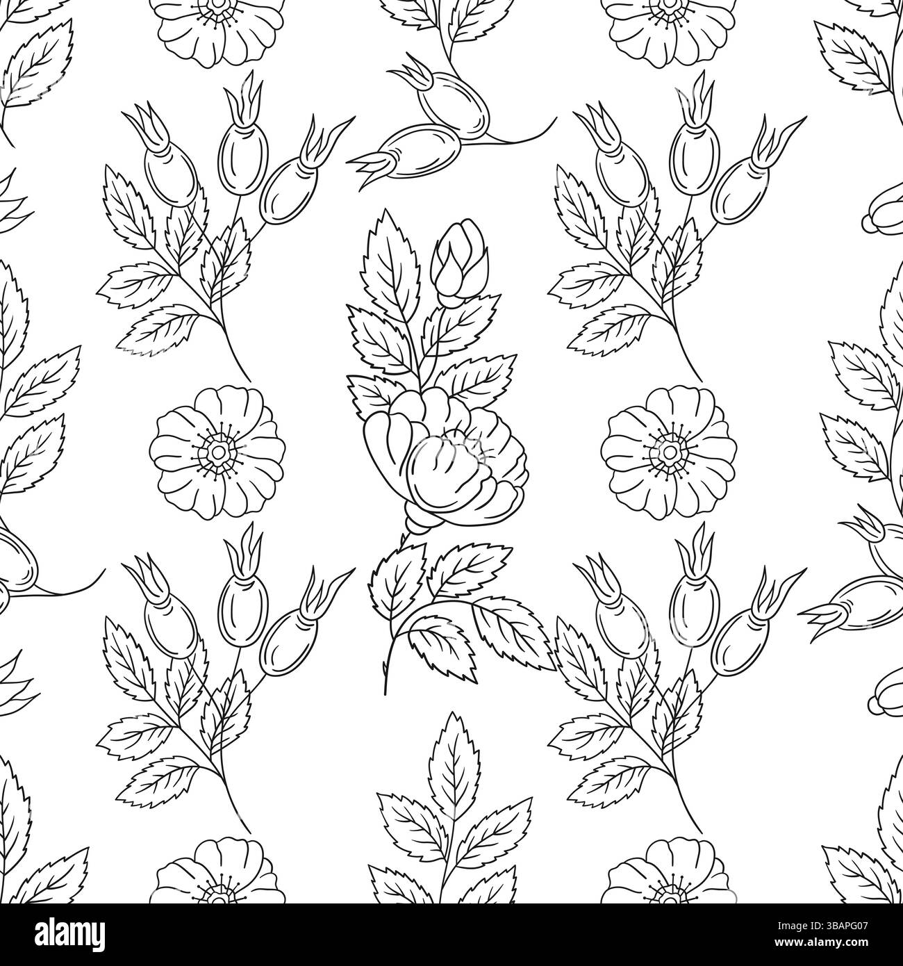 Rosehip. Motif floral monochrome. Modèle pour textile ou cuisine dans le style dessiné à la main. Imprimer pour la conception, textile, tissu, papier peint, emballage Illustration de Vecteur