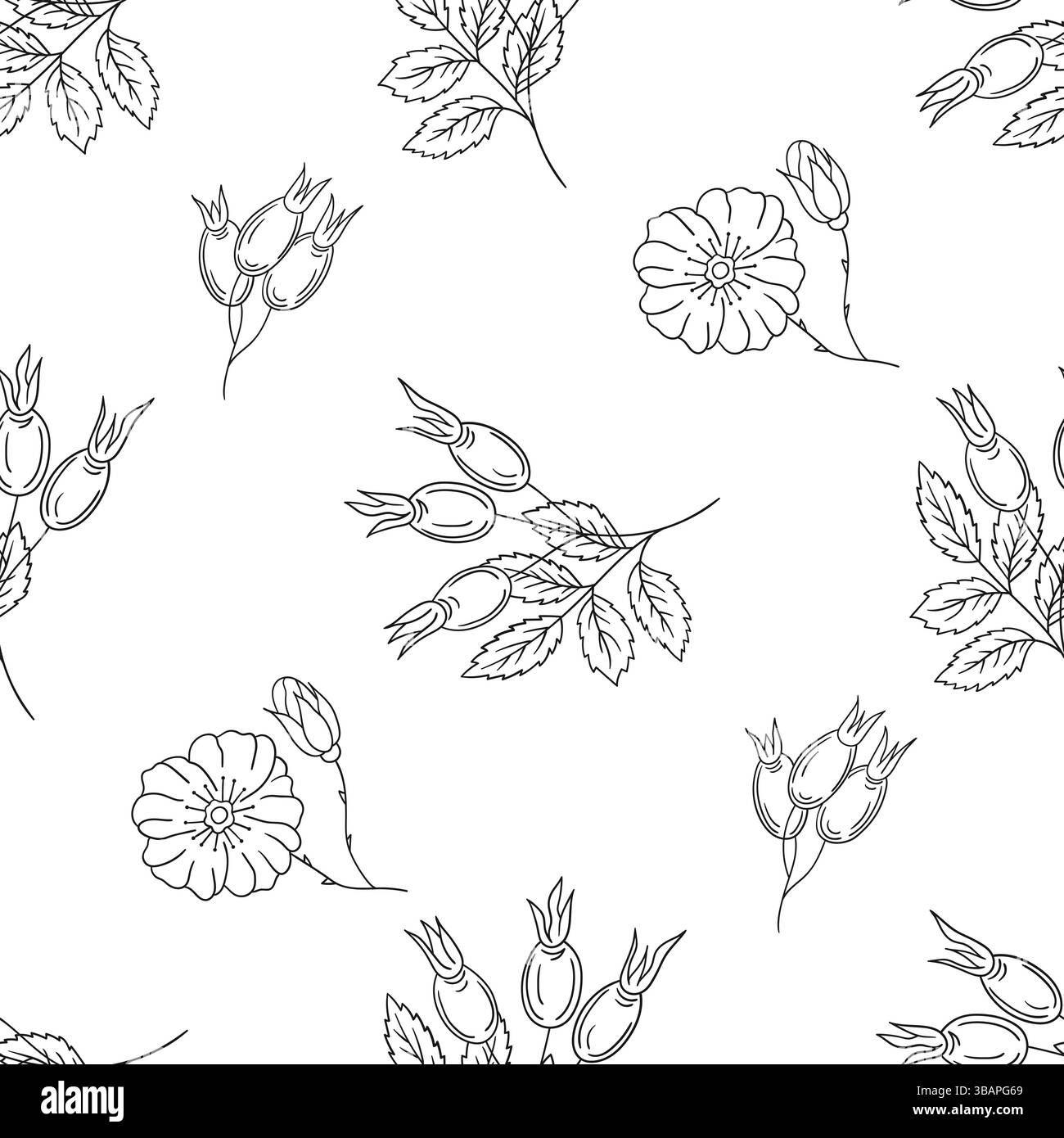Motif floral monochrome dans le style de dessin à la main. Rosehip. Modèle pour textile ou cuisine. Imprimer pour la conception, textile, tissu, papier peint, emballage Illustration de Vecteur