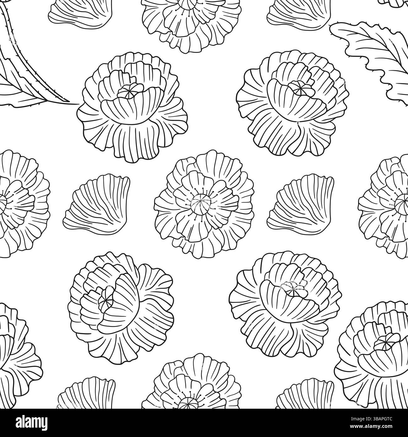 Motif floral monochrome. Poppy. Modèle pour textile dans le style dessin à la main. Imprimez pour la conception Illustration de Vecteur
