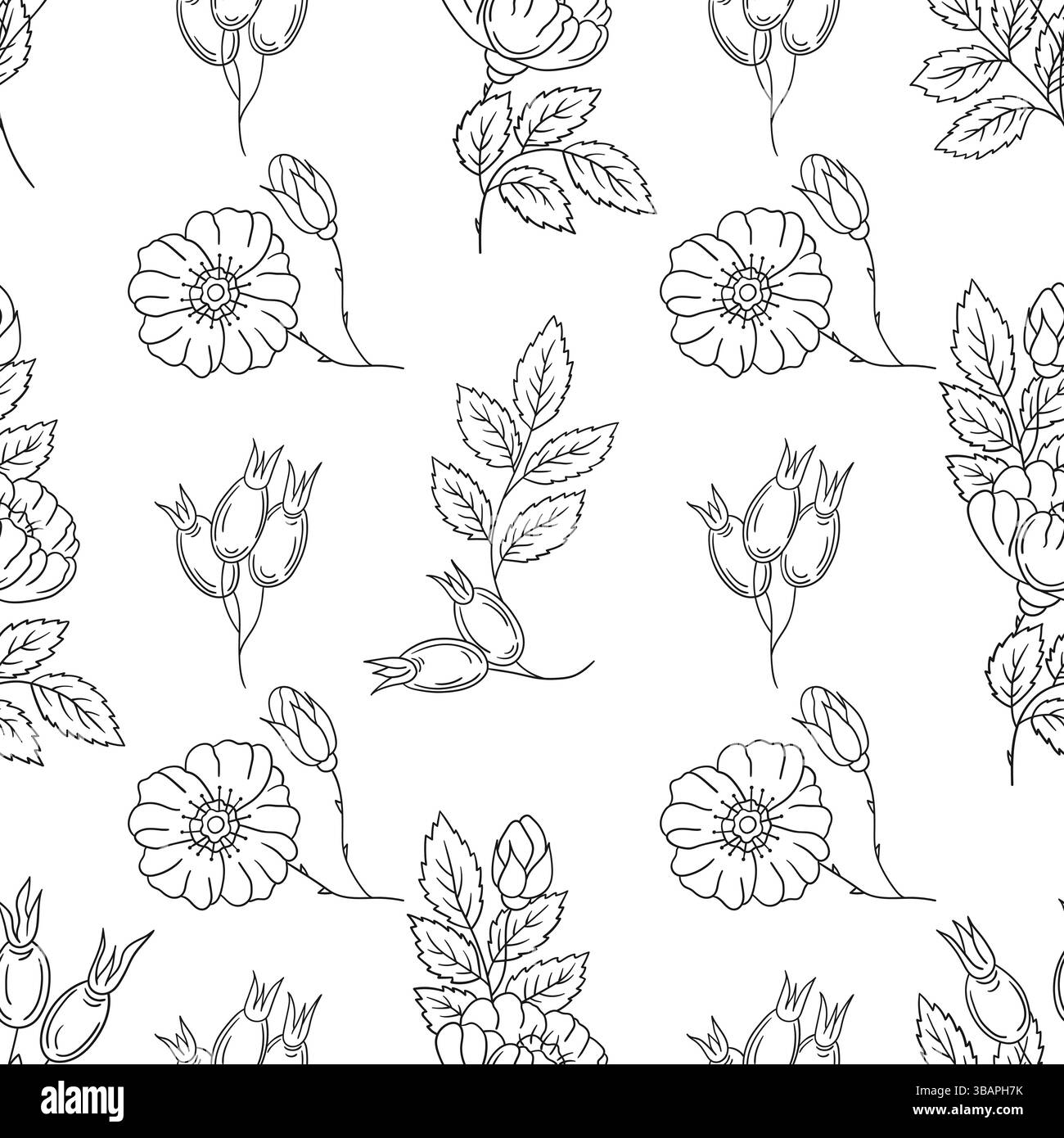 Motif floral monochrome dans le style de dessin à la main. Rosehip. Modèle pour textile ou cuisine. Imprimer pour la conception, textile, tissu, papier peint, papier d'emballage Illustration de Vecteur
