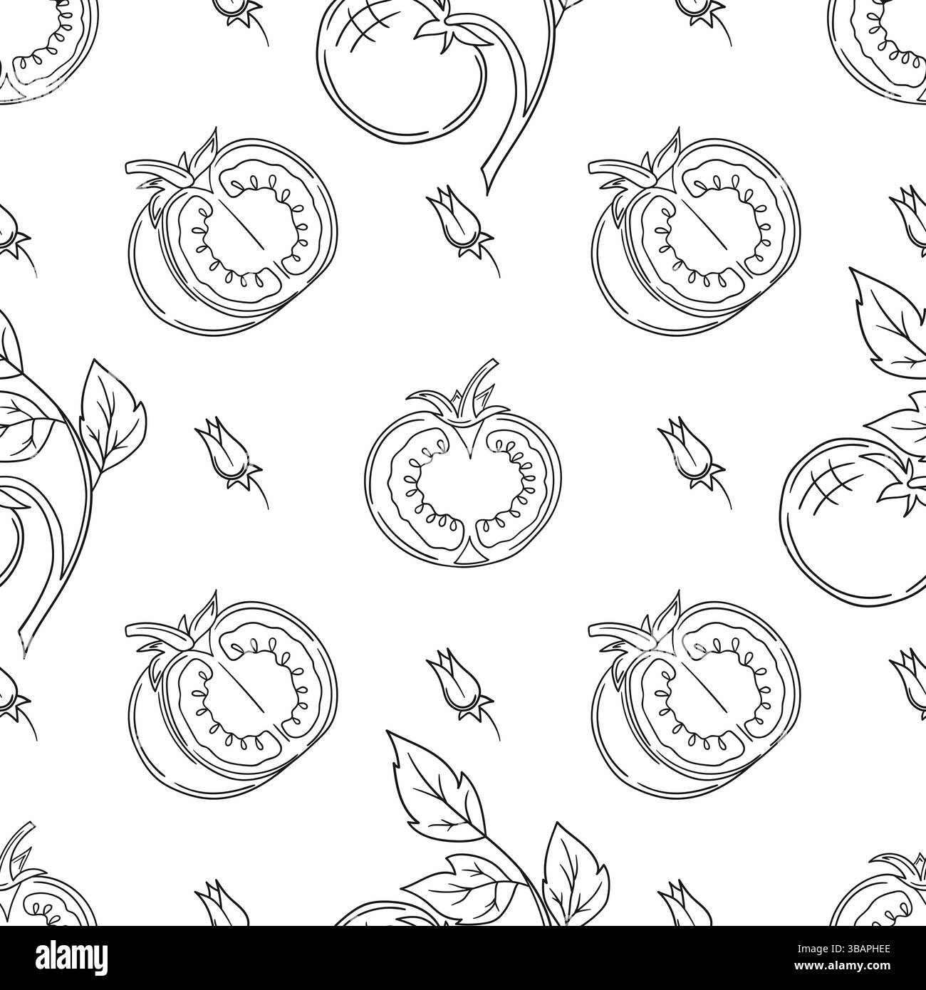 Modèle pour textile dans le style dessin à la main. Tomate. Motif végétal monochrome Illustration de Vecteur