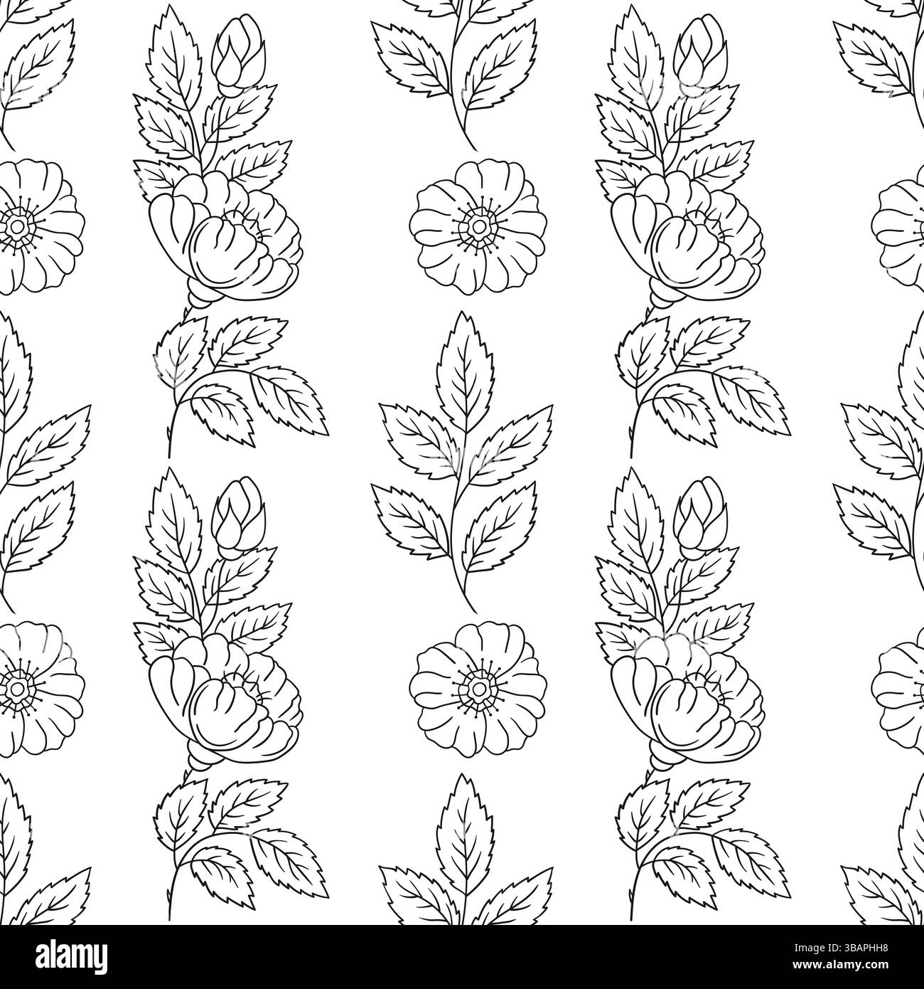 Motif floral monochrome. Rosehip. Modèle pour textile ou cuisine dans le style dessiné à la main. Imprimer pour le design, textile, tissu, papier peint Illustration de Vecteur