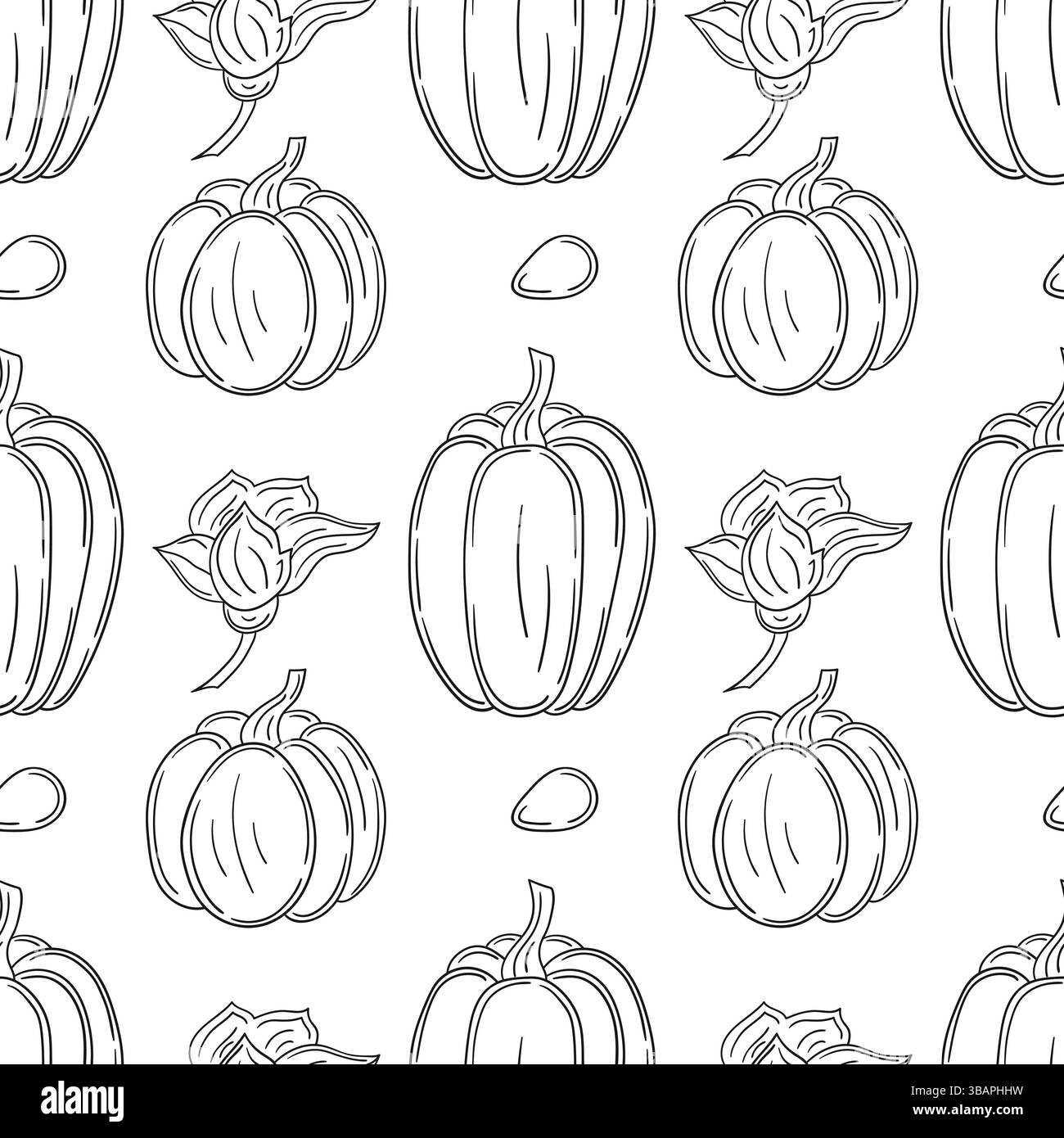 Modèle pour textile ou cuisine dans le style dessiné à la main. Citrouille. Motif végétal monochrome. Imprimer Illustration de Vecteur