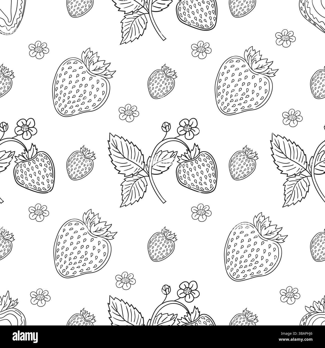 Modèle pour textile ou cuisine dans le style dessiné à la main. Motif baie monochrome. Fraise. Imprimer pour la conception, textile, tissu, papier peint, papier d'emballage, Illustration de Vecteur
