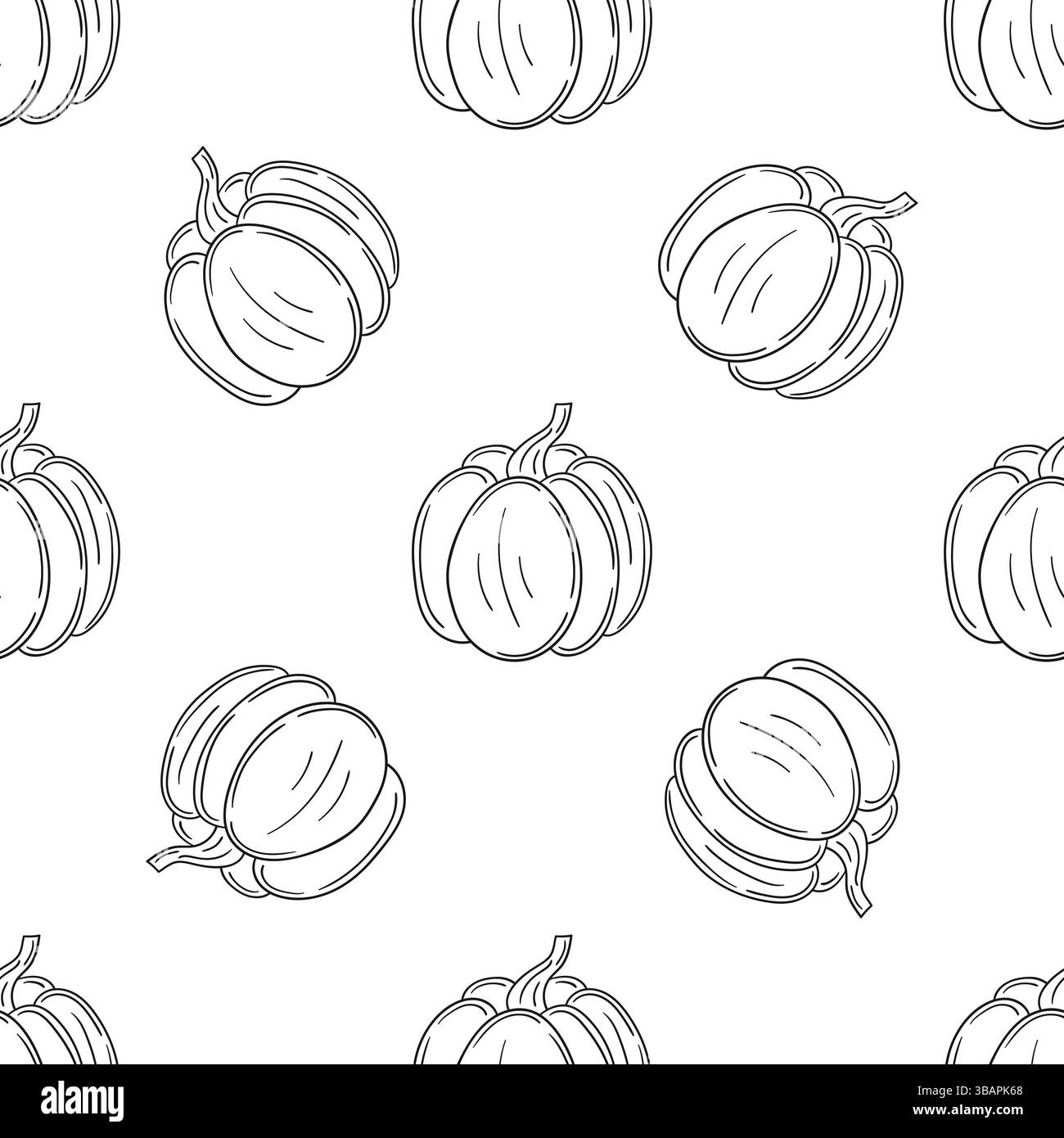 Modèle pour textile ou cuisine dans le style dessiné à la main. Citrouille. Motif végétal monochrome. Imprimer pour le design, textile, tissu, papier peint Illustration de Vecteur