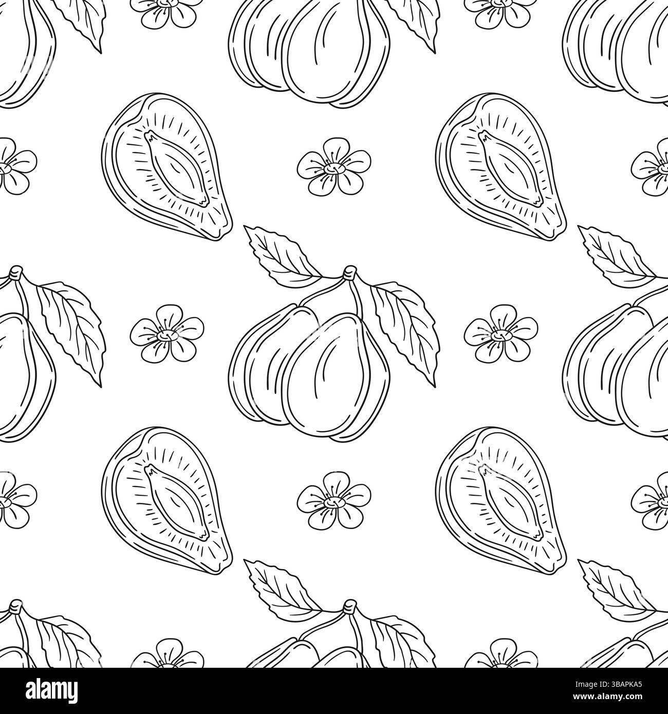 Modèle pour textile ou cuisine dans le style dessiné à la main. Motif de fruits monochrome. Prune. Imprimer pour la conception, textile, tissu, papier peint, emballage Illustration de Vecteur