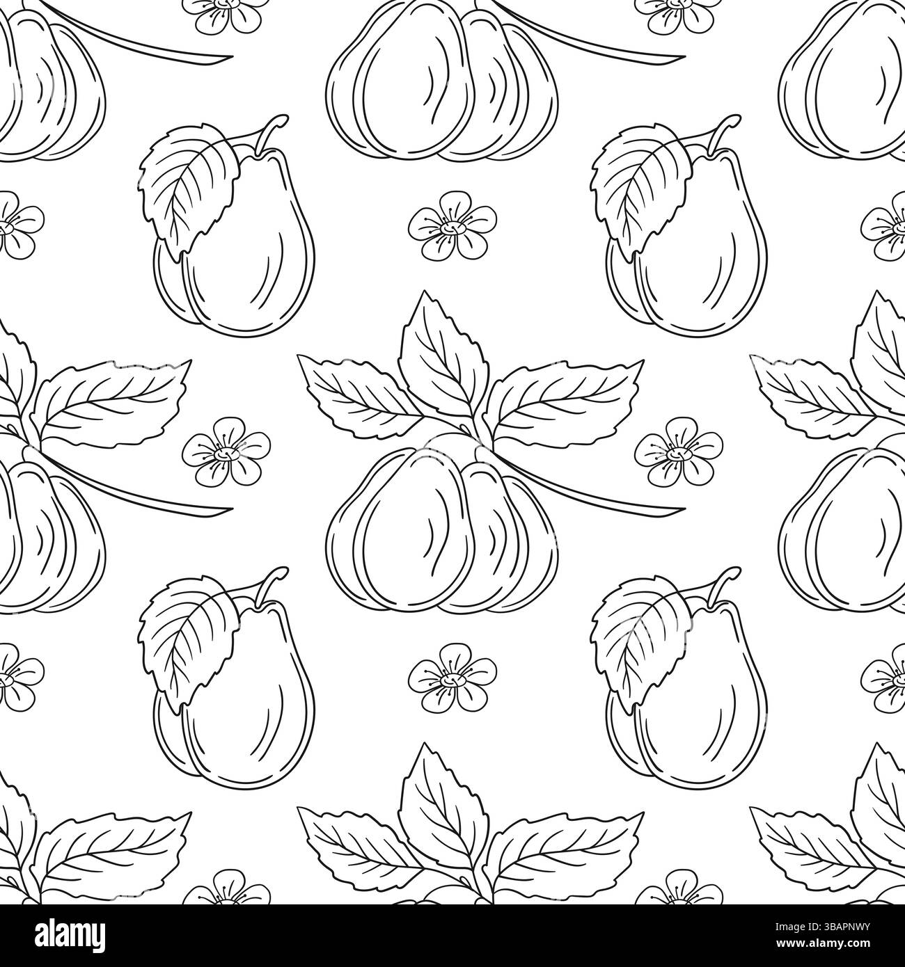 Modèle pour textile ou cuisine. Motif de fruit monochrome dans le style de dessin à la main. Prune. Imprimer pour la conception, textile, tissu, papier peint, emballage Illustration de Vecteur