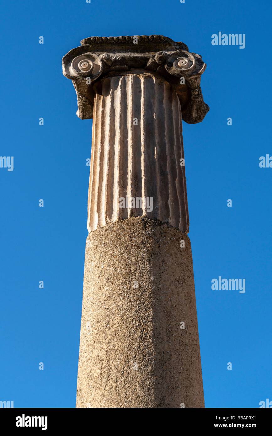 Haute colonne cannelée d'Éphèse avec une capitale corinthienne, s'élevant proprement dans le ciel bleu clair au-dessus du site archéologique. Banque D'Images