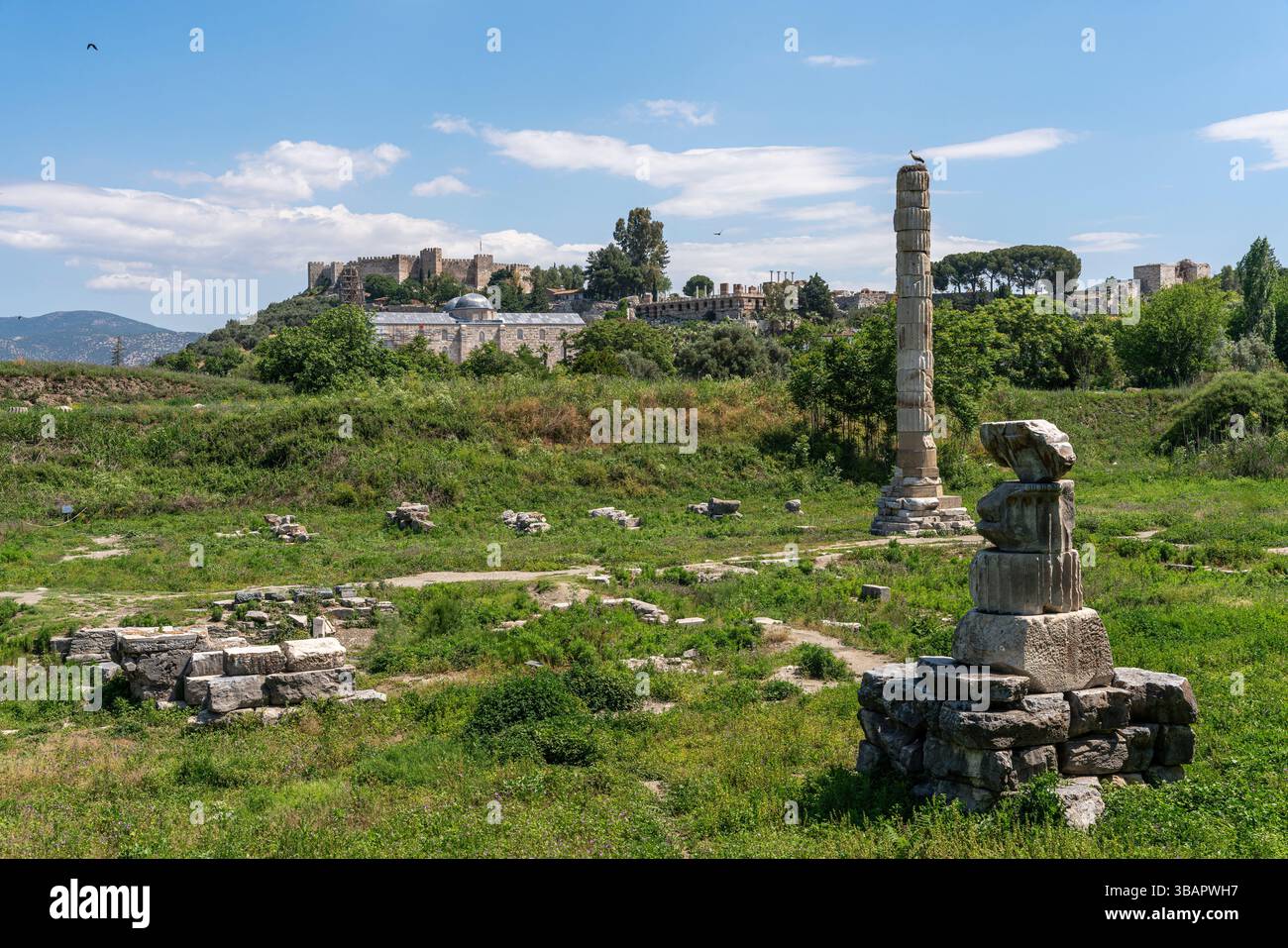 Éphèse – ruines d'Artemision avec des blocs dispersés et un château Selçuk visible derrière, mêlant héritages grecs et médiévaux. Banque D'Images